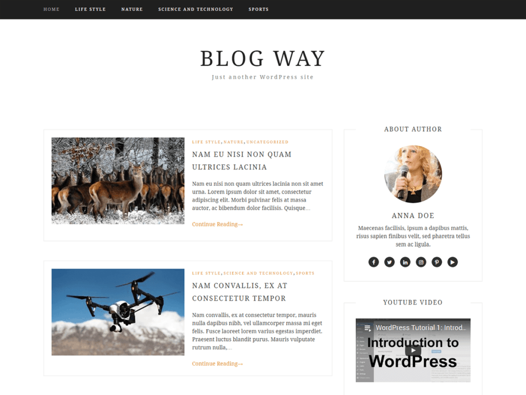 Blog Way WordPress blog theme